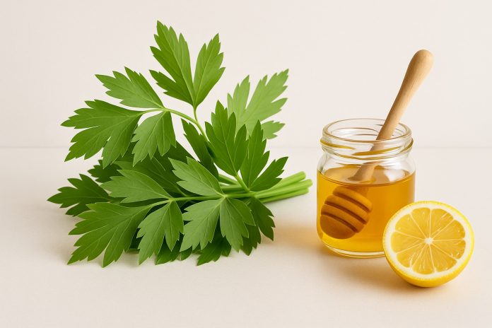 leustean-miere-minimalist Frunze proaspete de leuștean și borcan mic de miere cu linguriță de lemn, pe fundal deschis și luminos.