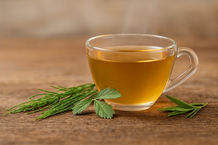 Ceașcă cu ceai din coada-calului, alături de tulpini verzi proaspete