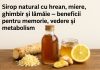 Sirop natural cu hrean, miere, ghimbir și lămâie – beneficii pentru memorie, vedere și metabolism Sirop natural cu hrean, miere, ghimbir și lămâie – rețetă tradițională pentru memorie și metabolism