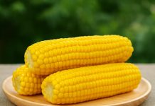 Porumbul fiert – gustul verii și beneficiile sale uimitoare pentru sănătate Porumb fiert proaspăt, așezat pe o farfurie din lemn, cu fundal verde estompat