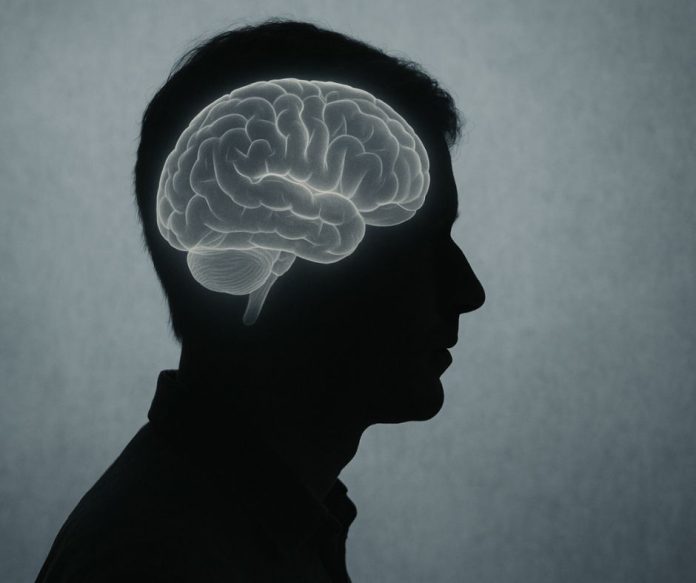 avc-silentios-semne-avertizare Ilustrație medicală a creierului, imagine informativă pentru un articol despre accident vascular cerebral silențios