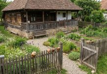 7 mirosuri pe care șerpii le evită. Cum le poți folosi în jurul casei Grădină de casă și zonă de acces, imagine ilustrativă pentru un articol despre metode naturale de descurajare a șerpilor