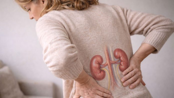 rinichi-semne-fara-durere.jpg Femeie matură cu ilustrație anatomică a rinichilor, sugerând probleme renale fără durere