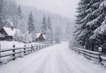 Vremea se schimbă radical de azi, 17 februarie. Ninsori, viscol și ger. Când începe încălzirea Ninsori și viscol în România pe 17 februarie, după schimbarea bruscă a vremii