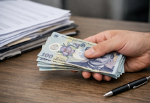 Se dau 1.000 lei pe lună pentru acești români: lista actelor necesare și cine poate primi banii Sprijin financiar 1.000 lei pe lună – acte necesare și criterii de eligibilitate