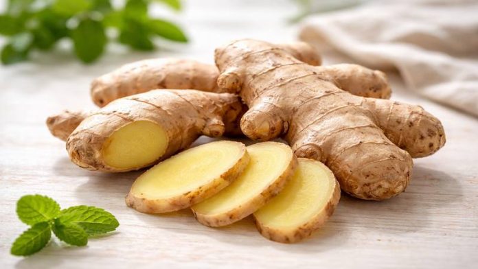 planta-ignorata-ghimbir-inima-creier.jpg Ghimbir proaspăt – plantă naturală studiată pentru susținerea inimii și a funcțiilor cognitive