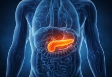 ilustrație medicală pancreas evidențiat în abdomen cu simptome asociate