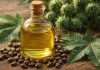 Uleiul de ricin: 12 beneficii surprinzătoare pe care puțini oameni le cunosc Ulei de ricin într-o sticlă mică lângă semințe de ricin și plante naturale