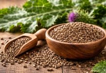 Semințe și frunze de armurariu, plantă medicinală pentru ficat