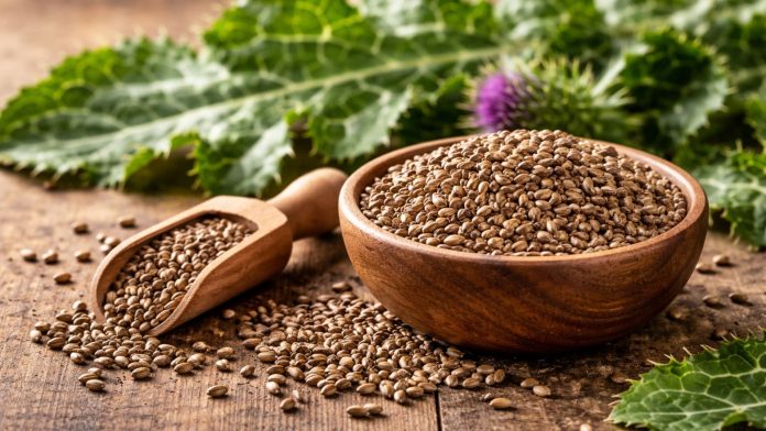 armurariu-beneficii-ficat.jpg Semințe și frunze de armurariu, plantă medicinală pentru ficat