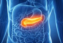 Pancreasul – organul vital pe care mulți îl ignoră. 8 simptome care pot arăta că este bolnav Ilustrație medicală a pancreasului în corpul uman