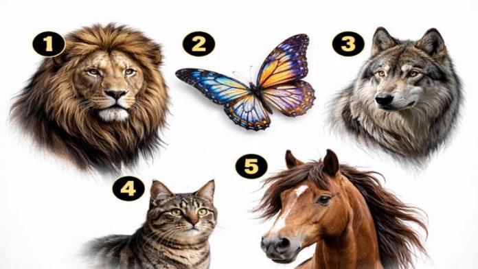 test personalitate alegere animal 5 variante