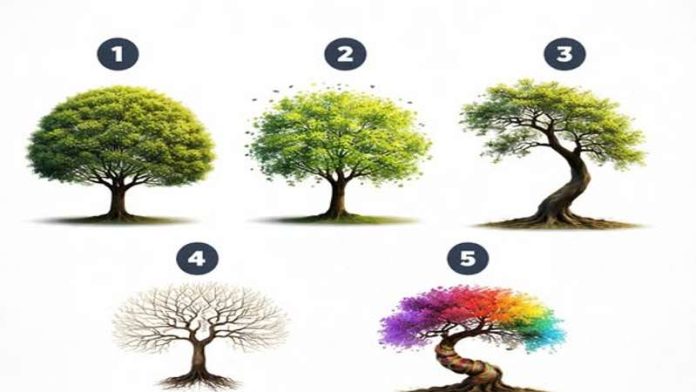 test personalitate alegere copac