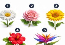 test personalitate alegere floare 5 variante