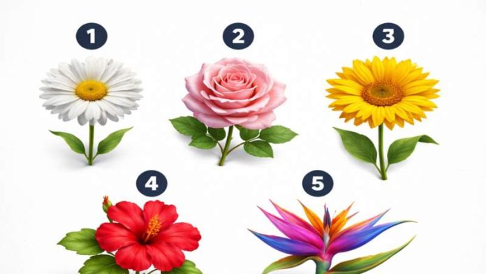 test personalitate alegere floare 5 variante