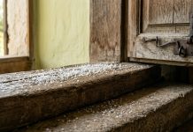 sare in prag usa truc furnici umiditate casa