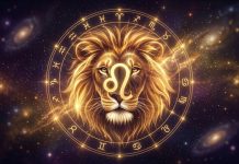 De ce Leul este considerat „Regele zodiacului”. 10 motive care îl fac diferit de toate celelalte zodii Leu mascul impunător simbol al zodiei Leu și al puterii în astrologie
