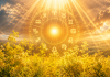 Zodiile protejate de Divinitate de Sânziene 2026. Vor avea numai de câștigat până la sfârșitul anului Cerc zodiacal luminos înconjurat de flori galbene de sânziene și lumină aurie