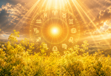 Cerc zodiacal luminos înconjurat de flori galbene de sânziene și lumină aurie