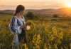 Sânzienele întorc vara. Motivul pentru care ziua începe să scadă după 24 iunie Coronițe de sânziene și apus de soare într-un peisaj rural românesc la începutul verii