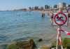 Alertă pe litoral! Bacterie periculoasă care se răspândește în Marea Neagră. Cine riscă forme grave de infecție Plajă la Marea Neagră și avertizare privind bacteriile Vibrio prezente în apa mării.