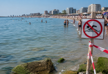 Alertă pe litoral! Bacterie periculoasă care se răspândește în Marea Neagră. Cine riscă forme grave de infecție Plajă la Marea Neagră și avertizare privind bacteriile Vibrio prezente în apa mării.