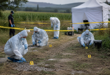Descoperire șocantă. Peste 30 de bebeluși au fost găsiți îngropați pe un teren. Ce spun vecinii despre principala suspectă Criminaliști investigând un teren unde au fost descoperite rămășițe umane