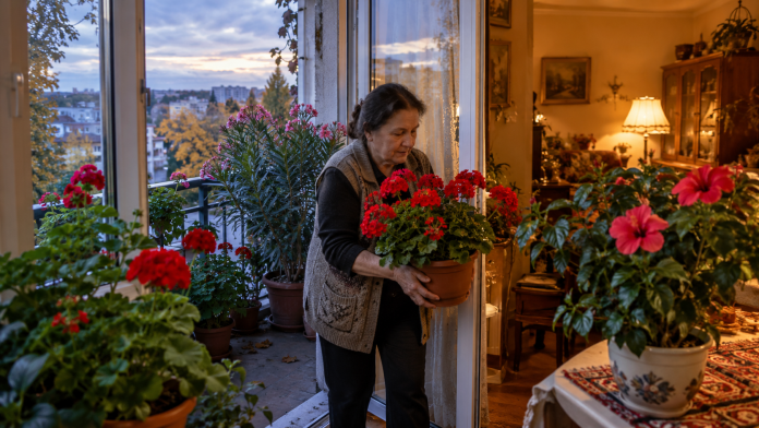 flori-nopti-reci-octombrie.jpg Florile care trebuie băgate în casă înainte de nopțile reci