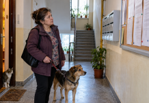 Ai câine sau pisică la bloc? Regulile din 2026 pe care trebuie să le respecți! Când poți fi obligat să plătești în plus la întreținere Câine și pisică într-un apartament de bloc, reguli pentru proprietarii de animale de companie și eventuale taxe la întreținere în 2026.