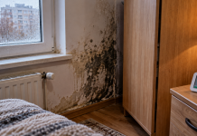 Mucegai în colțurile camerei? Greșeala pe care mulți o fac când vine frigul. De ce petele negre reapar chiar și după ce cureți pereții Mucegai negru apărut în colțul unui perete din dormitor, lângă fereastră, din cauza umezelii și condensului în sezonul rece.