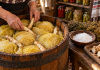 Secretul verzei murate perfecte! Ingredientul de câțiva lei care o ține tare, crocantă și gustoasă toată iarna Butoi tradițional cu varză murată și rădăcini de hrean, ingredientul folosit pentru a păstra varza tare și crocantă peste iarnă.