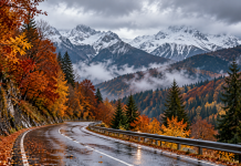 Vremea se schimbă în România! Ploi, frig și ninsori la munte. Ce anunță meteorologii până pe 9 noiembrie Drum montan umed, pădure de toamnă și culmi cu zăpadă sub un cer înnorat